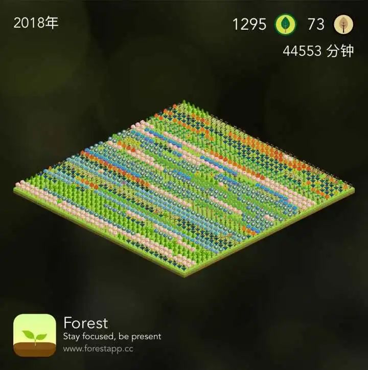 二战考研是在家备考还是边工作,二战考研如何扭转心态高效备考