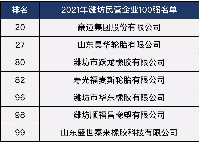 潍坊龙山轮胎有限公司,潍坊民营企业前十强企业