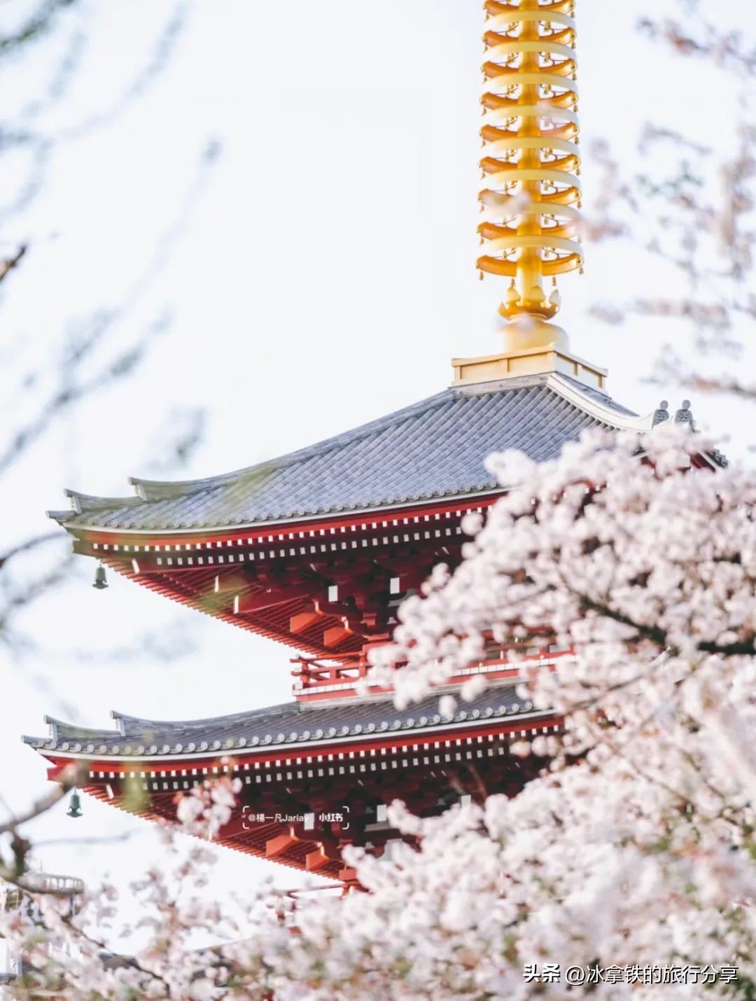 全球第八家宝格丽,最新的宝格丽酒店