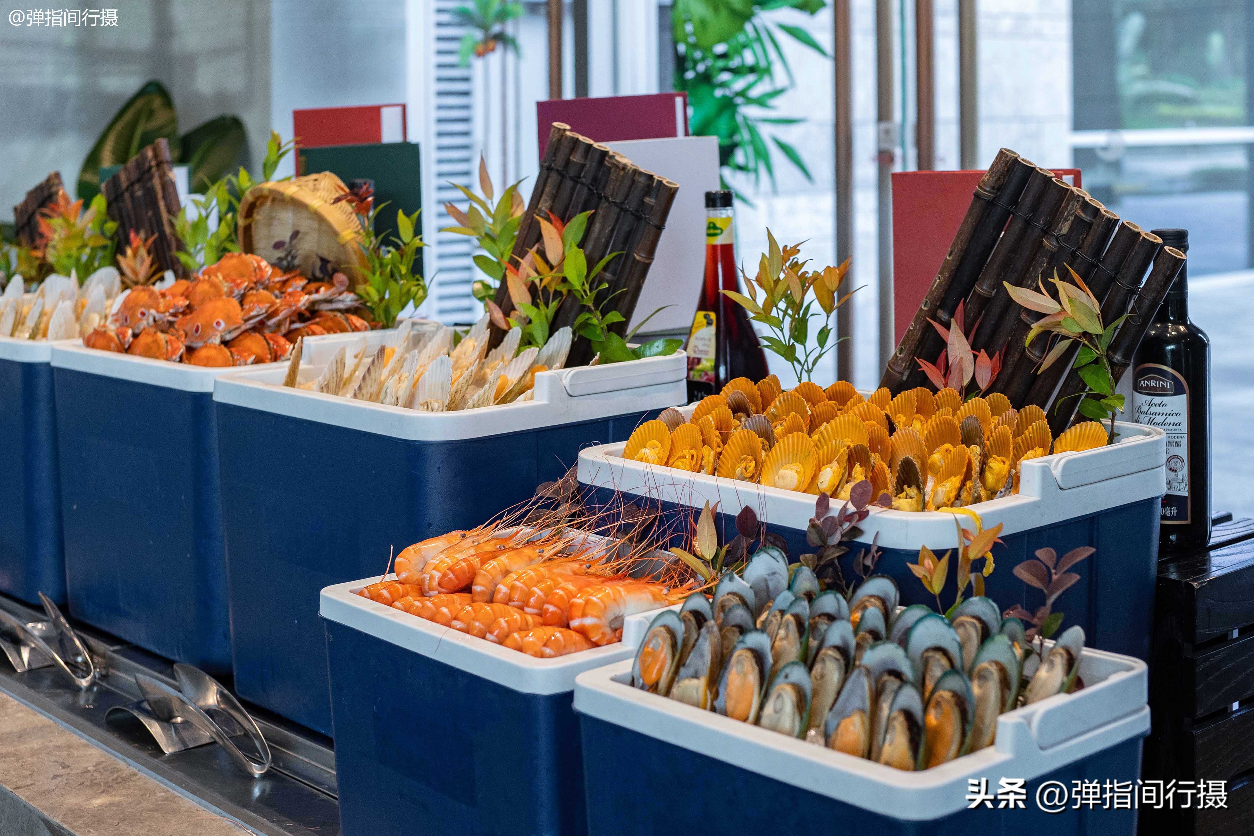 深圳机场希尔顿逸林酒店订房,北京希尔顿逸林旅游