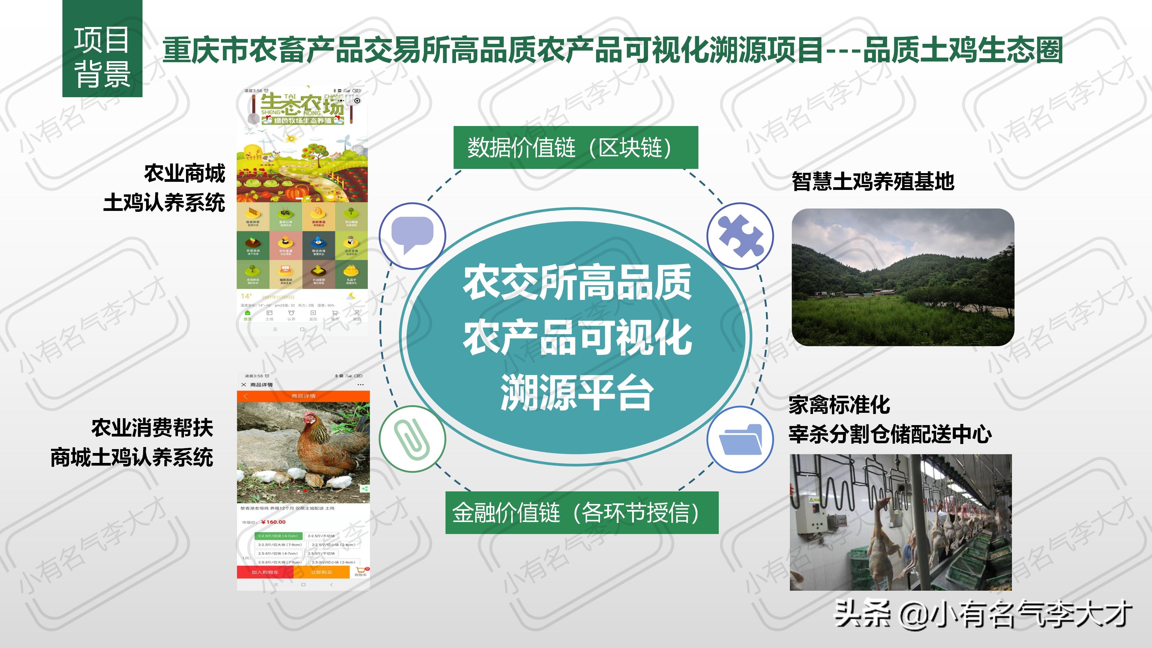 农业观光园营销策划方案100例,农业品牌策划产品战略规划