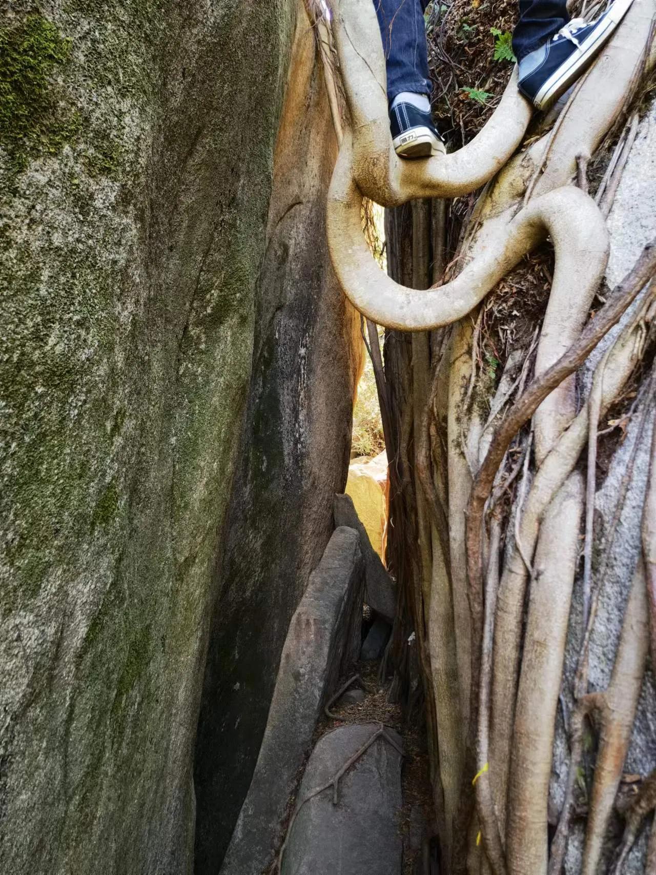 厦门岛内去哪里逛,厦门新年爬山