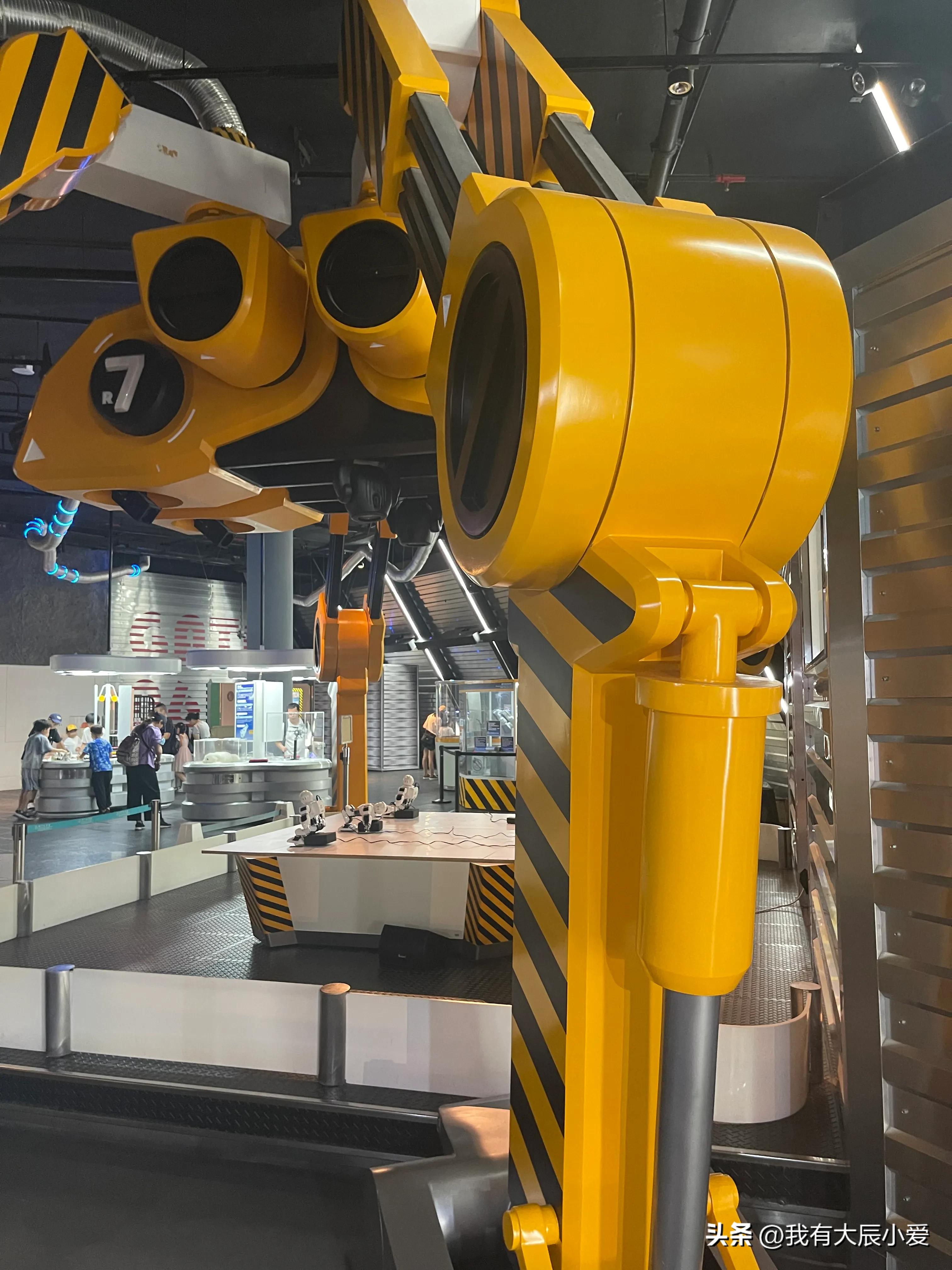 去澳门带小孩攻略,带娃去澳门好玩吗