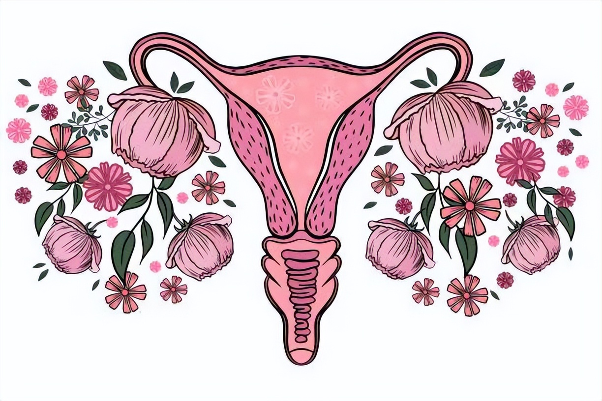 那些切了子宫的女性，后来都怎么样了？