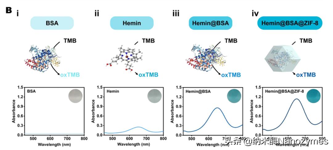 Anal.Chem.|基于金属-有机框架限制效应的类过氧化物酶仿生纳米酶