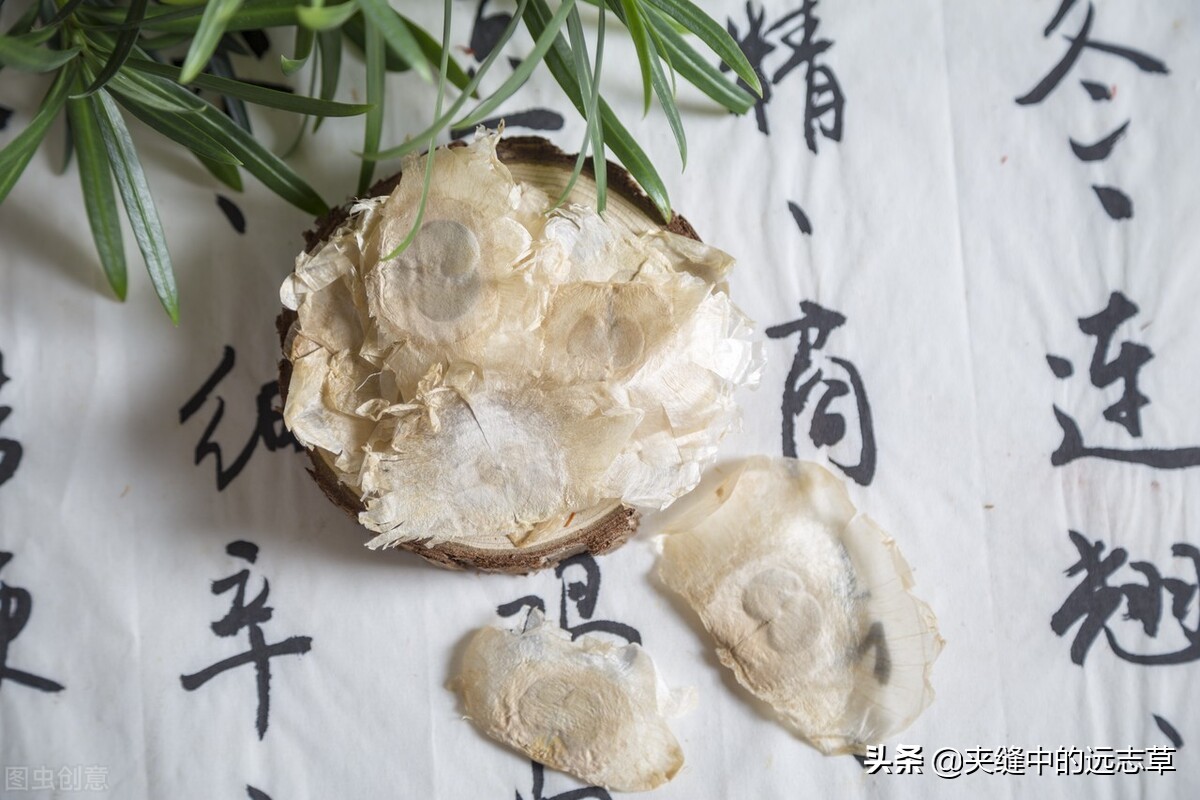 散结能手一味药泡水喝散各种结节,一个方子缓解结节息肉