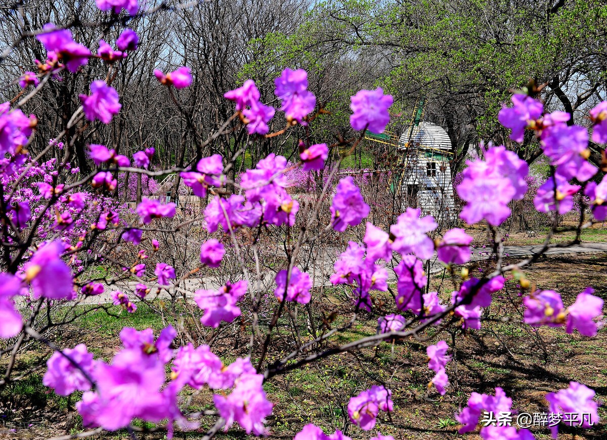 沈阳植物园沈阳世博园,沈阳世博园和植物园区别