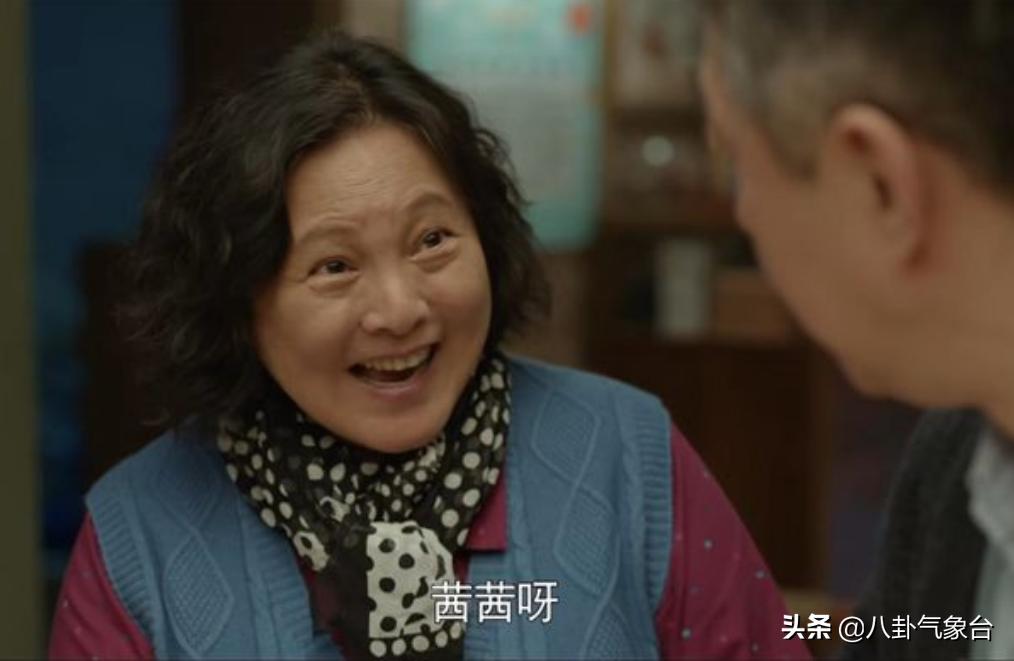 心居演员演技,心居演员人物关系