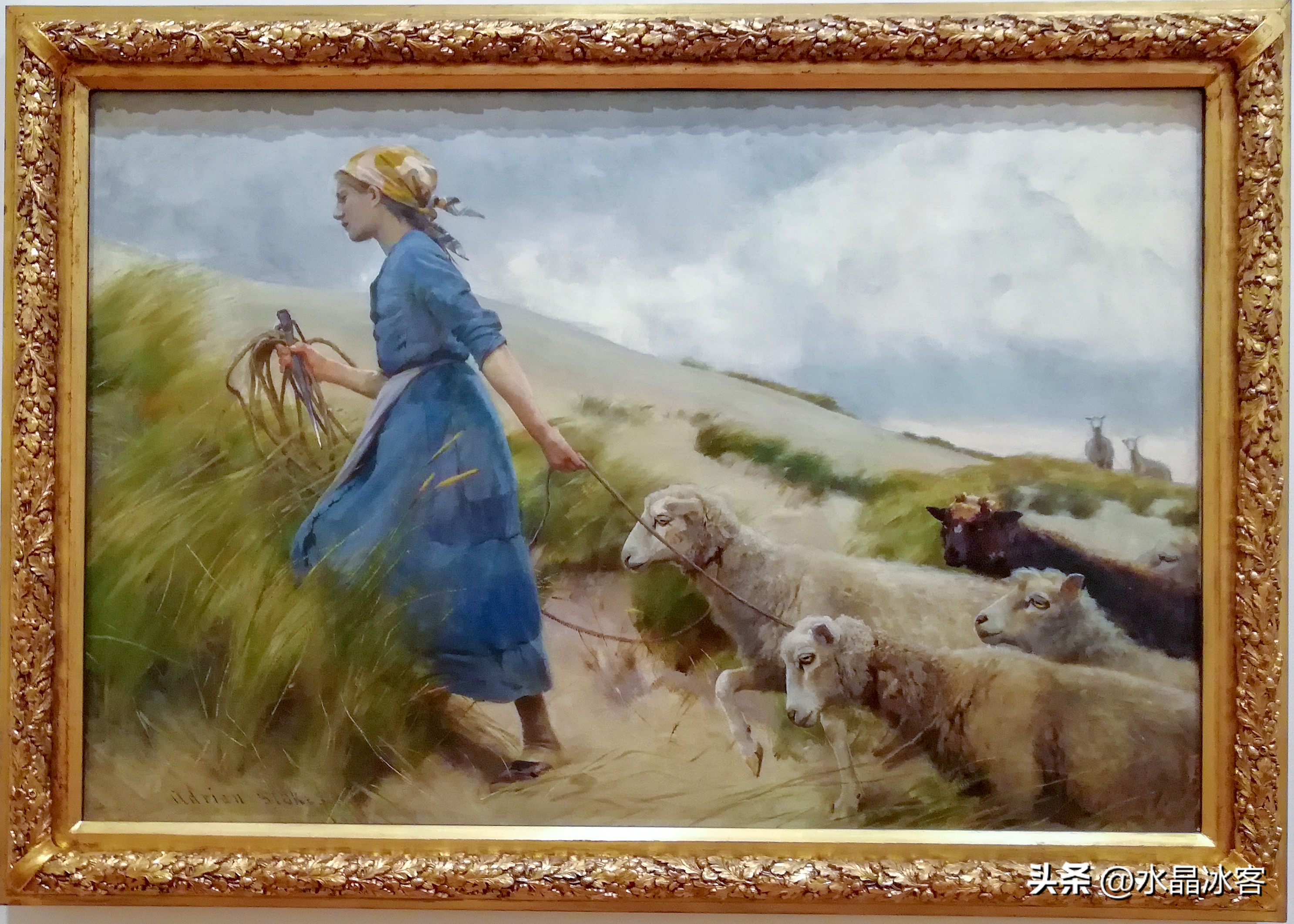 南岛新西兰之旅,新西兰之南岛