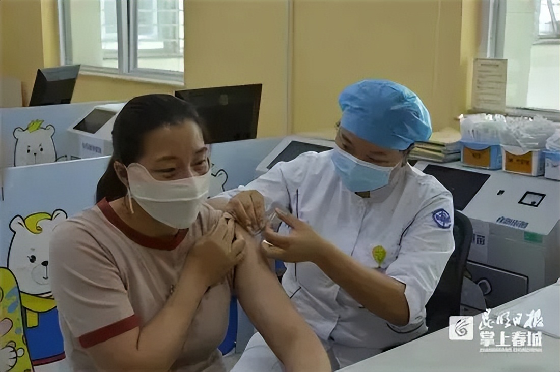 治疗痛风神奇藏药,草药治疗痛风的特效药