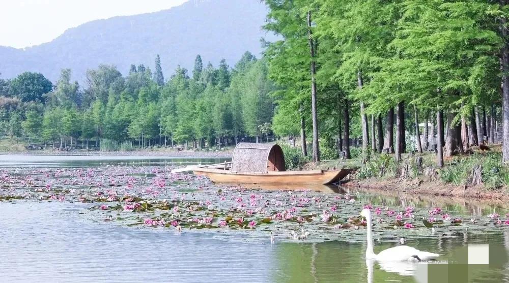 南京游玩明孝陵攻略路线,南京明孝陵好不好玩