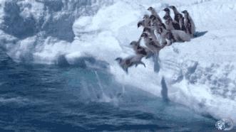 金融圈年终总结表情包,2023金融圈年终总结表情包版