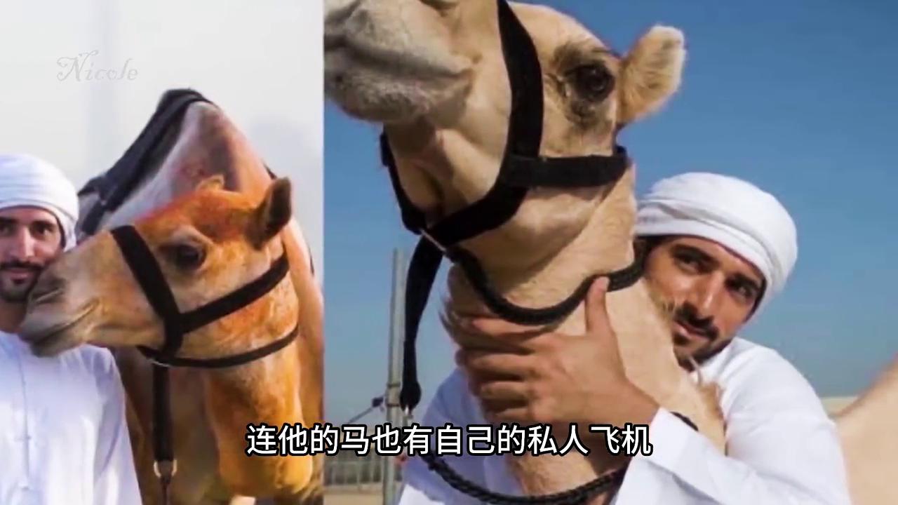 迪拜王子哈曼丹访问欧洲,揭秘迪拜王子哈曼丹