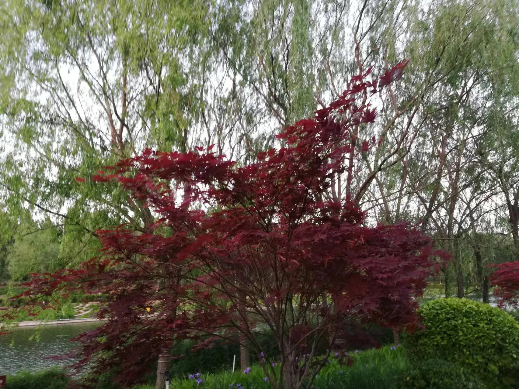 做临时工被拖工资怎么办,体制内临时工被安排很多活怎么办