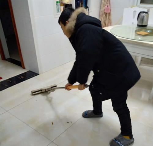 蟑螂生存环境以及如何去除蟑螂,家里有蟑螂教你一招让蟑螂去无踪