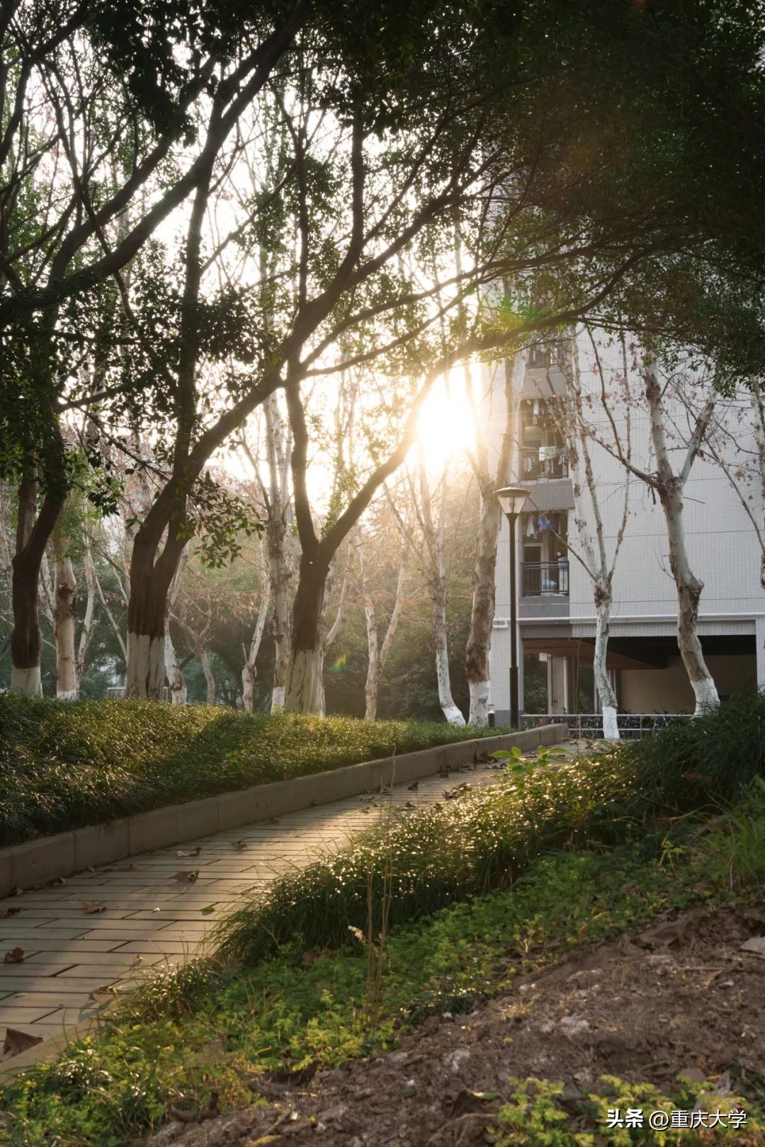 重大新生入学,新生报到必备清单大全