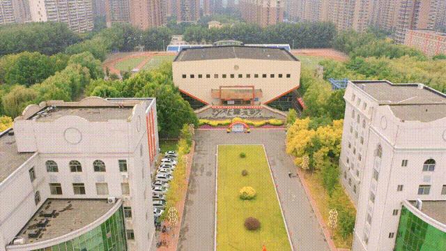 翔宇航空就业,就业前景最好的专业民航