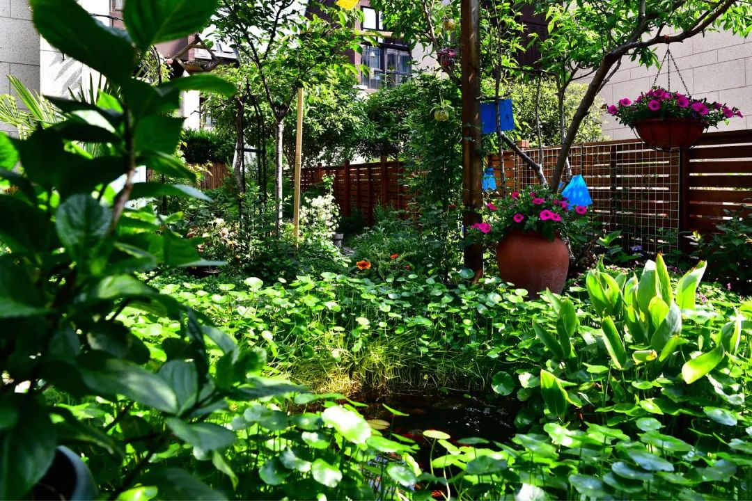 如何打造自己的小院,打造小院最省钱