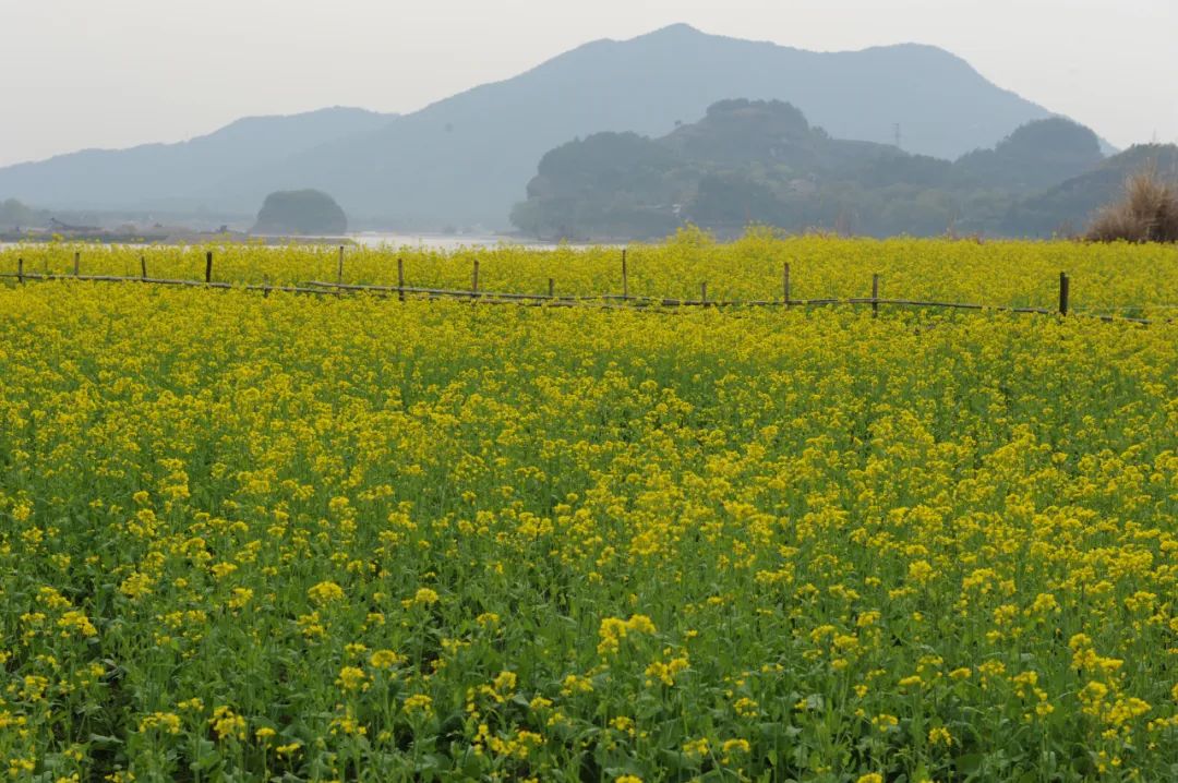 【上饶天下SHOW之铅山县】上饶这里一岩十景，徐霞客赞它为“奇境”！