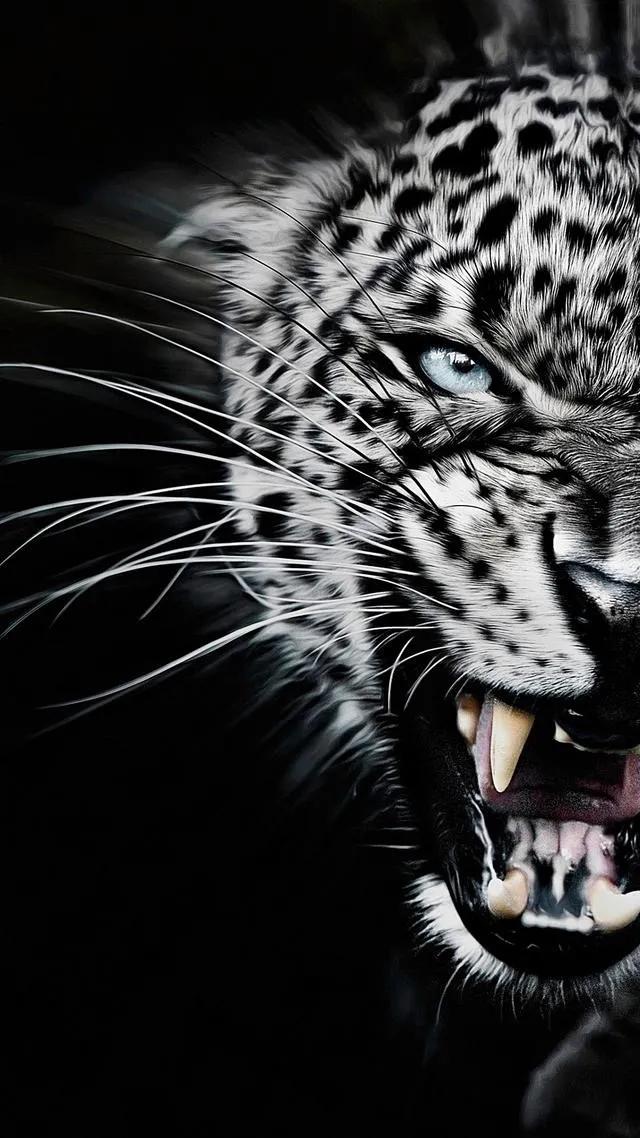 最美的光背景图片,超好看的夜晚蓝色的背景图