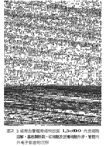 陈凡医生简历,陈凡医师