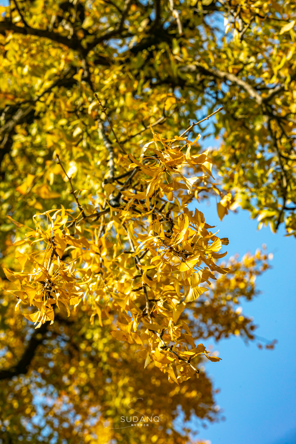 大自然塑造了我,大自然塑造者
