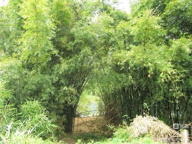 桂湘粤三省骑行交流,广西柳州三江自驾游视频