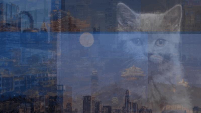 ppt10张多图排版技巧,答辩多图ppt排版