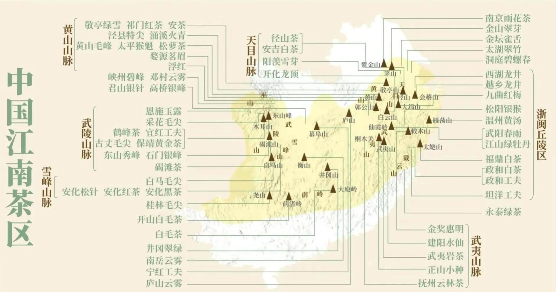 茶叶比赛信阳毛尖,信阳毛尖茶王争霸比赛