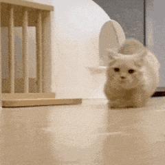 显卡暴涨是怎么回事,显卡价格暴跌背后的危机