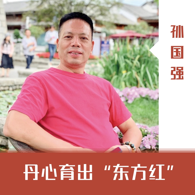 孙国强公示,孙国强