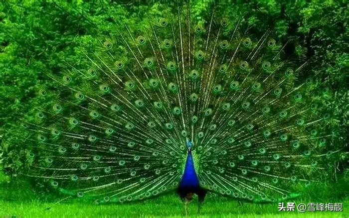 疫情之下的生活状态和感悟,疫情之下对生命及生活的感悟