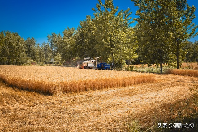 乡土青春小说,乡土小说农村爱情现代