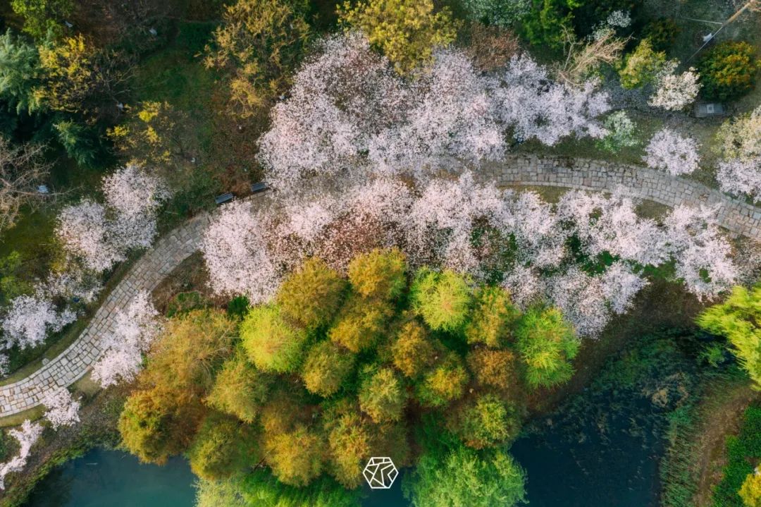 藏不住了！苏州四大宝藏公园，好拍又好玩