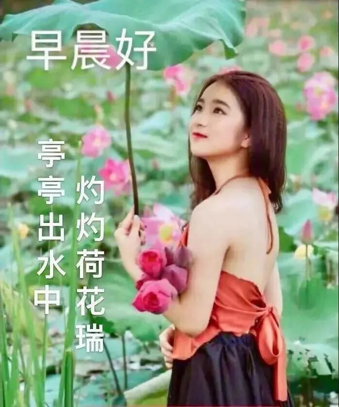 最新最美雨天早上好问候文字图片,夏日里最美的早晨问候图片大全