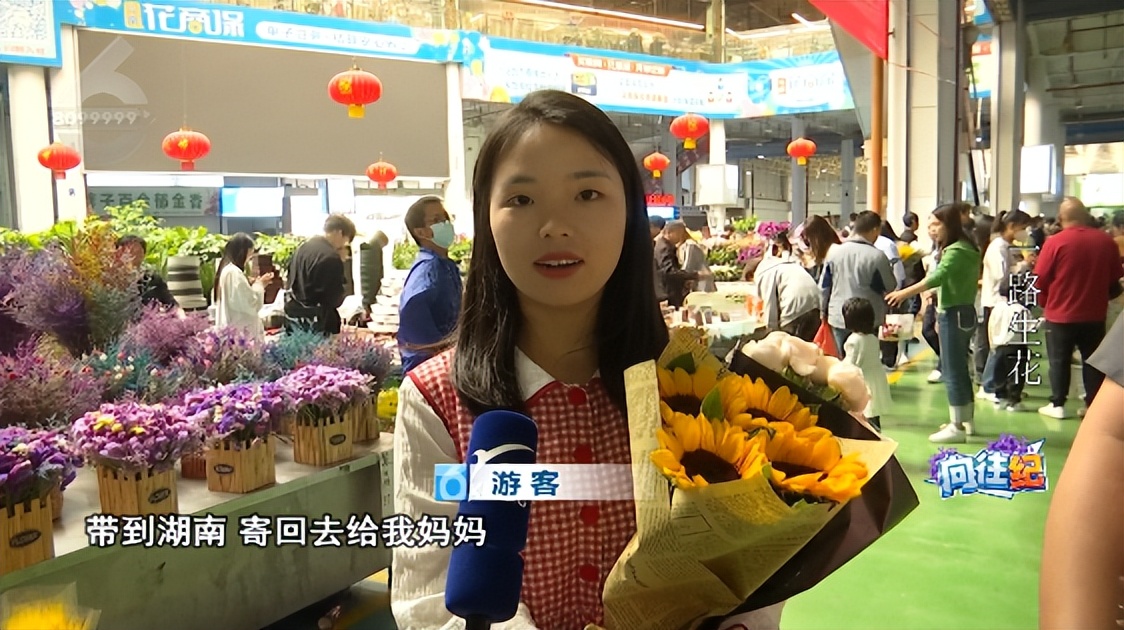 盘点人们都向往的工作,向往的工作和现实的工作