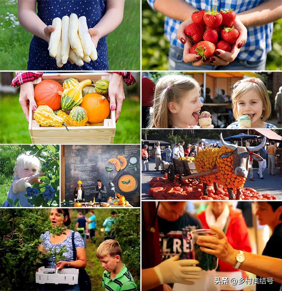 寰峰浗鑺︾瑡鍐滃満,鍏嬭幈鏂墭鑺︾瑡浣撻獙
