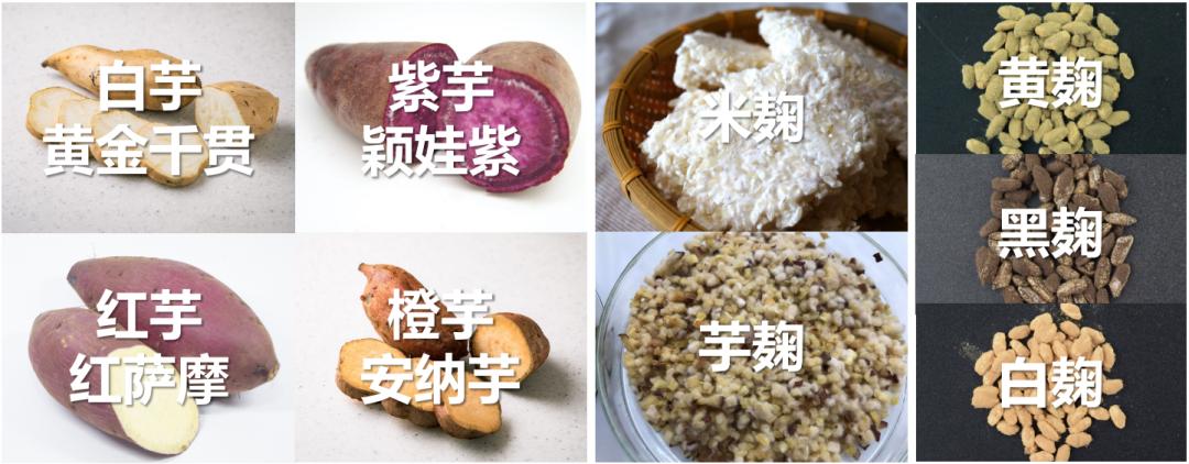 在这节好玩又好喝的公开课，感受鹿儿岛本格烧酎的百变风味！