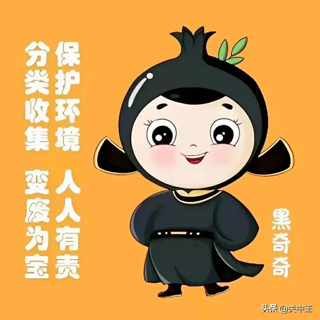 西安疫情防控贴纸全套保存,西安全民核酸贴纸收集