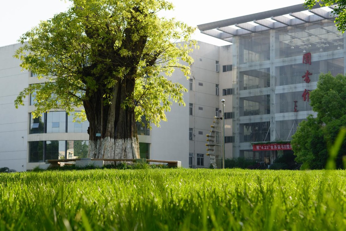 三峡大学湖北排名第几,三峡大学在湖北排名