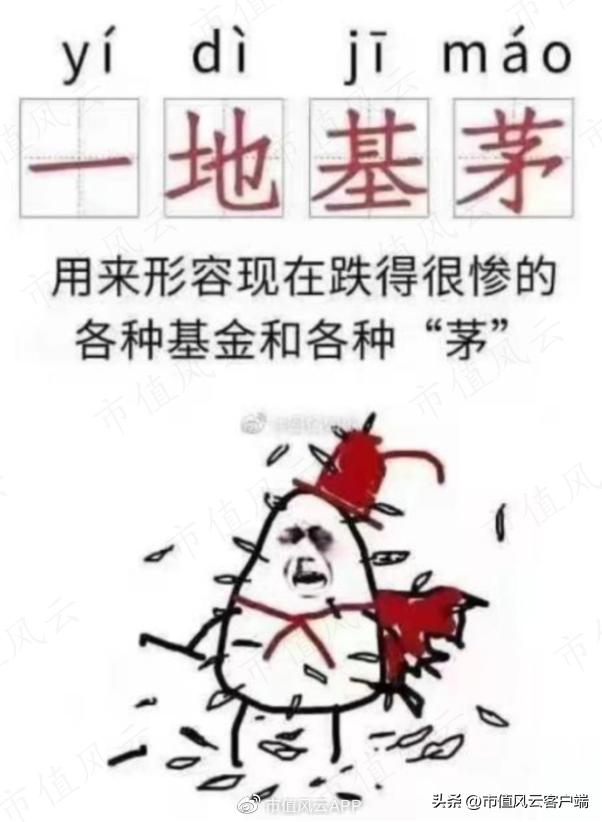 *哈梭**之王，赌性坚强，1“兰”=126“爽”!中欧基金造神，葛兰塌房