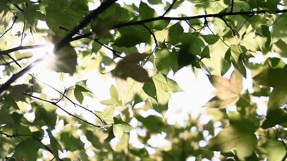 充电宝风扇华为,华为电风扇灯光