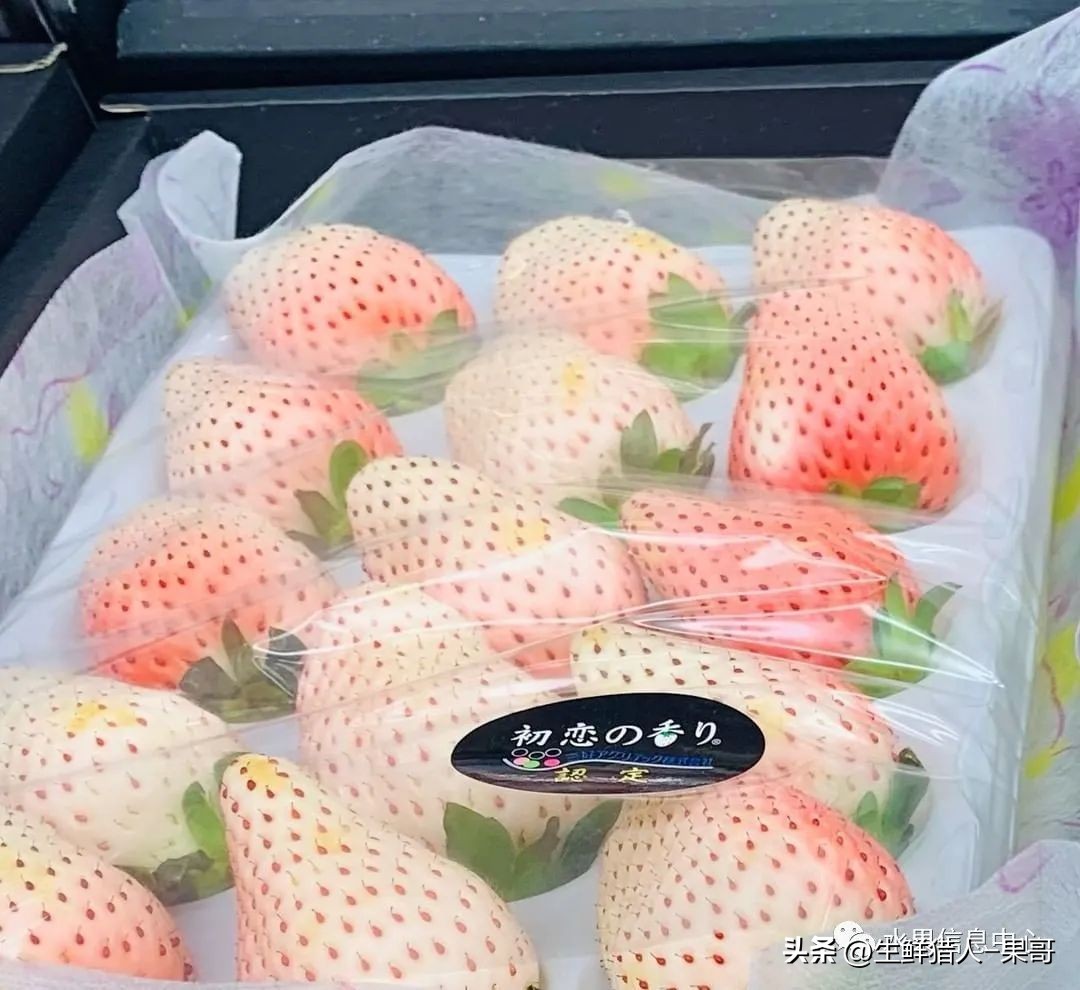 最好吃的白草莓品种前十名,好吃实惠的草莓品种有哪些