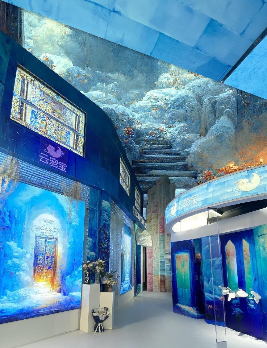 七色主题圆满收官双十一胡兵力拓直播新业态