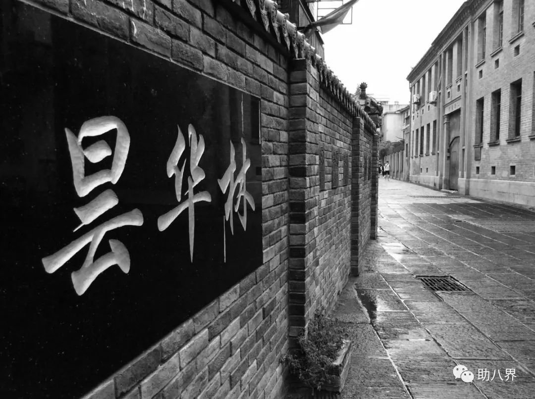 武汉必打卡的十大景点介绍,武汉南湖网红打卡景点