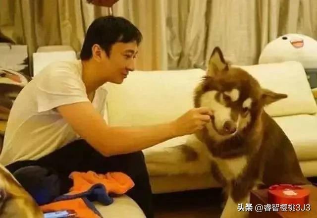 王思聪宠物一年花多少钱,王思聪的狗王可可一年花多少钱