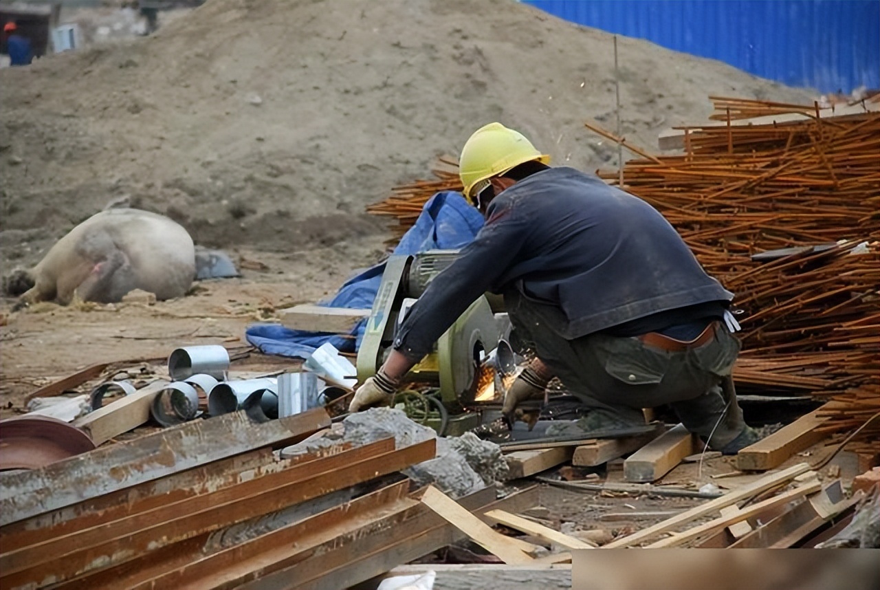 张扣扣被执行死刑后怎么反思,张扣扣被执行死刑真相