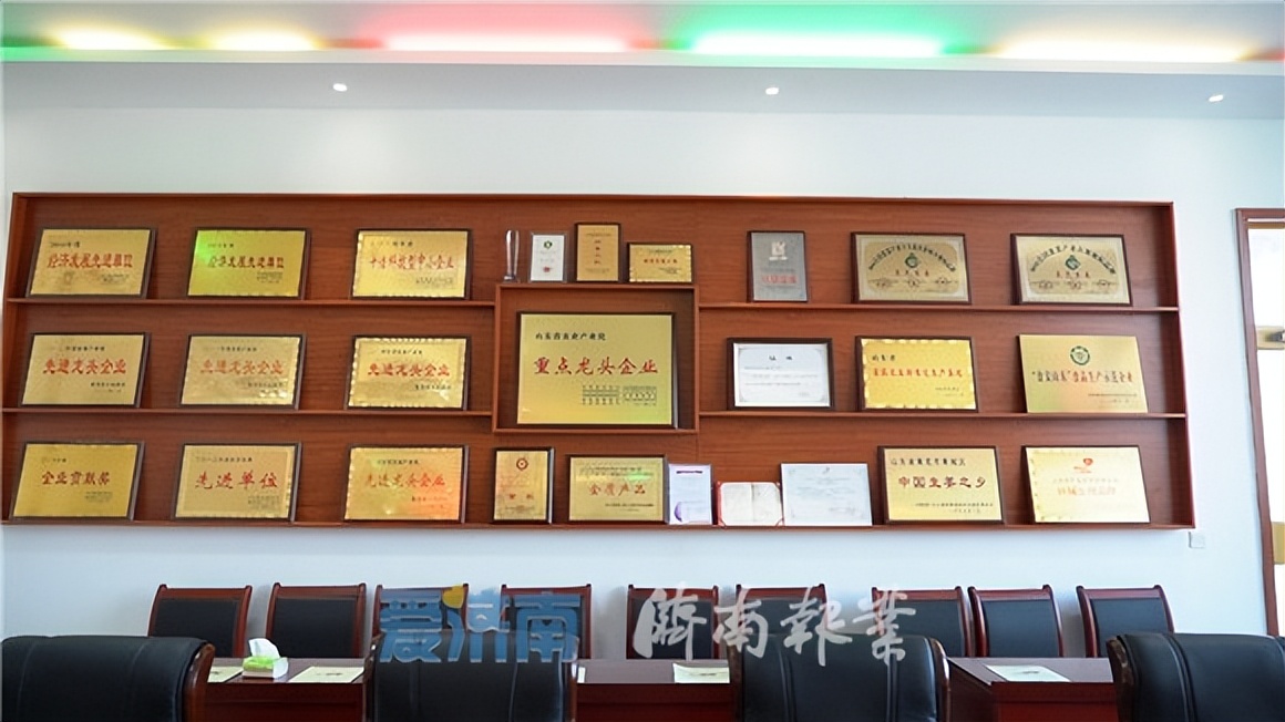 莱芜黑蒜,莱芜黑蒜品牌