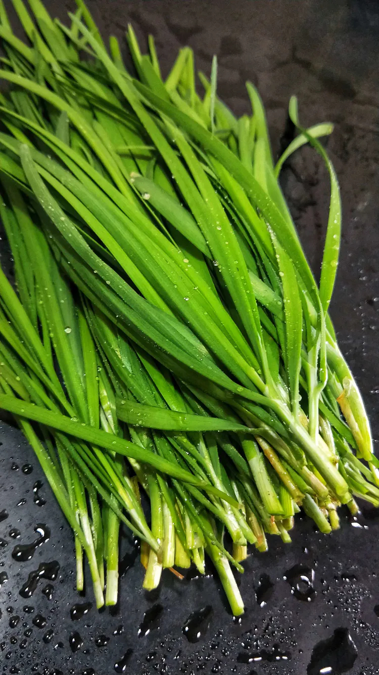 阳台种什么菜比较好,阳台适合种什么菜长得快