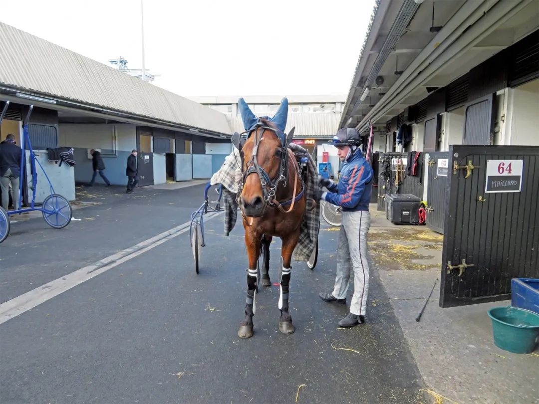 马迷与股民在虚构的世界里莫名亢奋